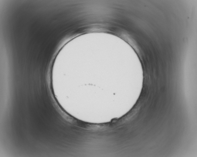 X0000108481195200905011155