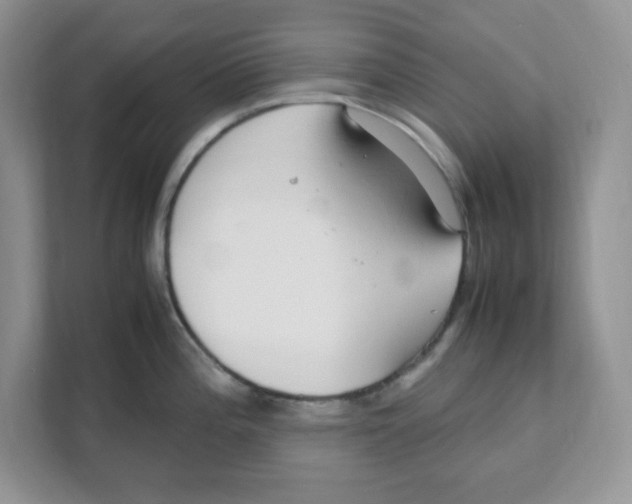 X0000108481196200905011155