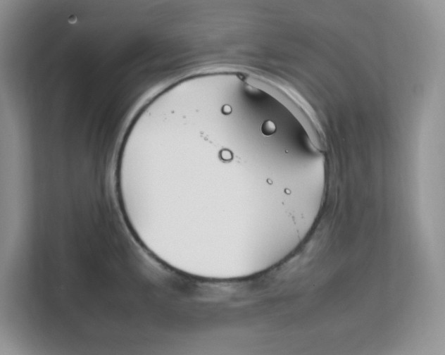 X0000108481197200905011155