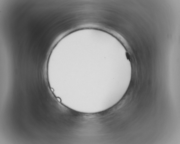 X0000108481199200905011155