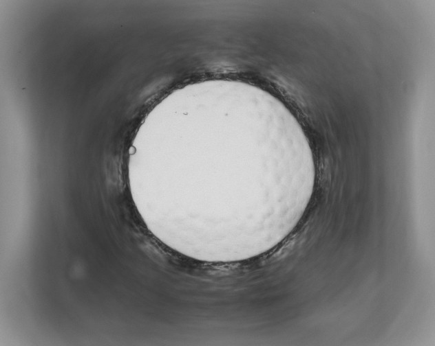 X0000108481205200905011155