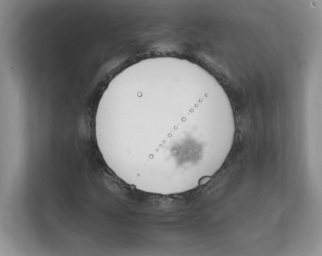 X0000108481207200905011155