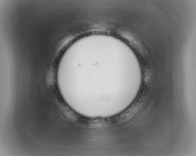 X0000108481208200905011155