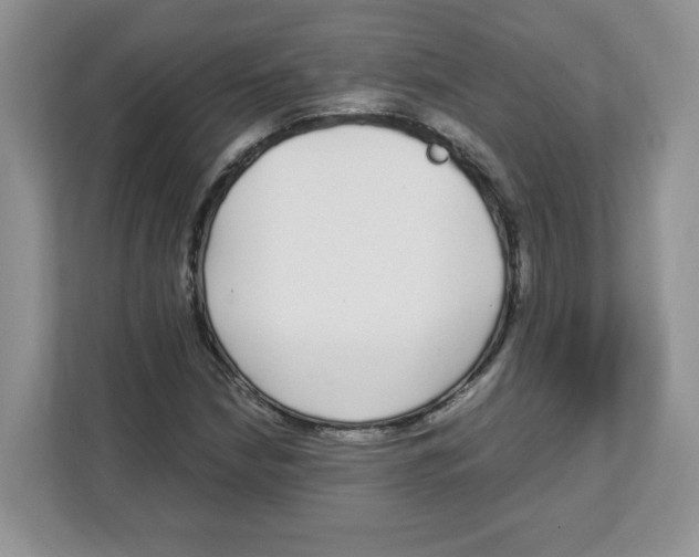 X0000108481210200905011155