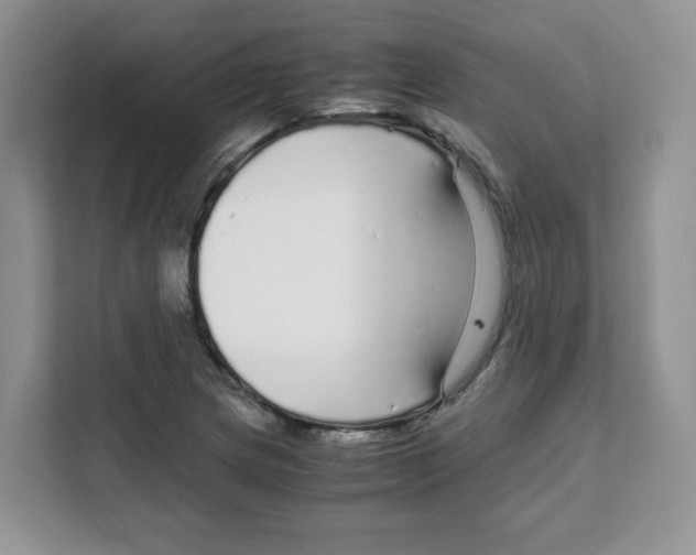 X0000108481217200905011155