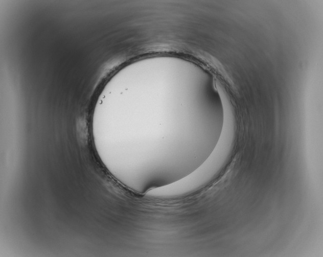 X0000108481218200905011155