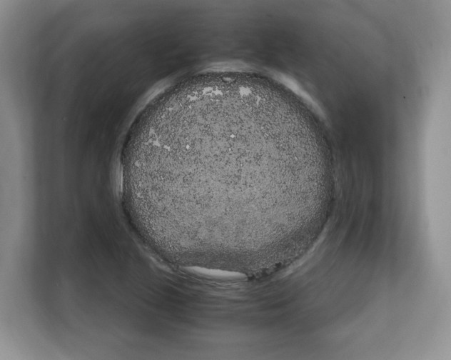 X0000108481221200905011155