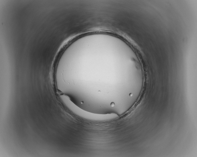 X0000108481222200905011155