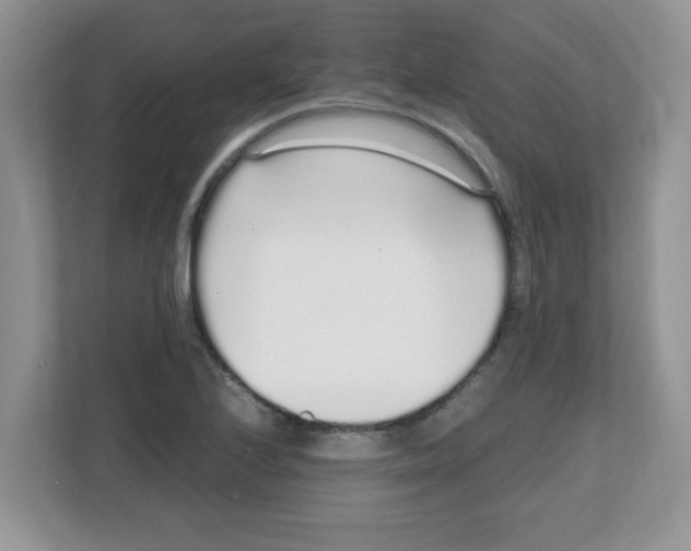 X0000108481224200905011155