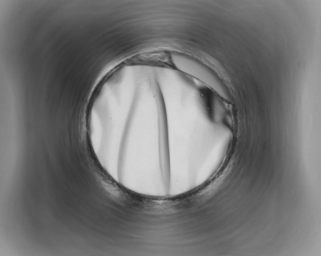 X0000108481226200905011155