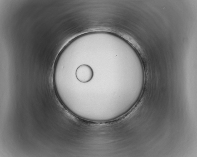 X0000108481228200905011155