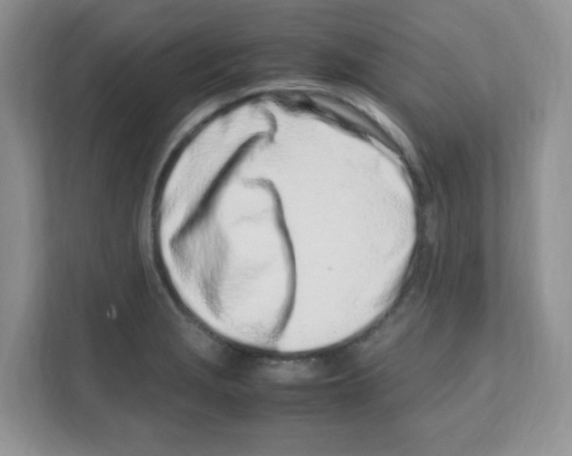 X0000108481229200905011155