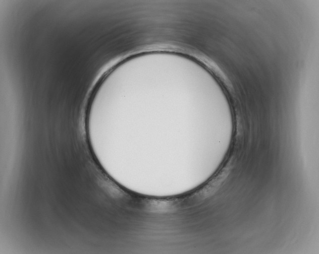 X0000108481230200905011155