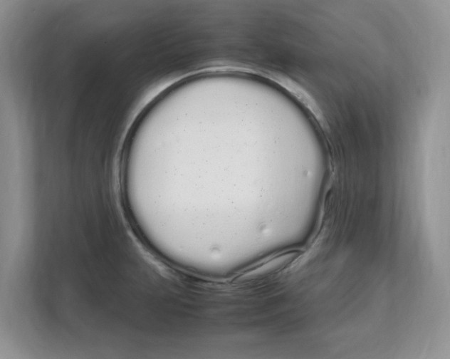 X0000108481231200905011155