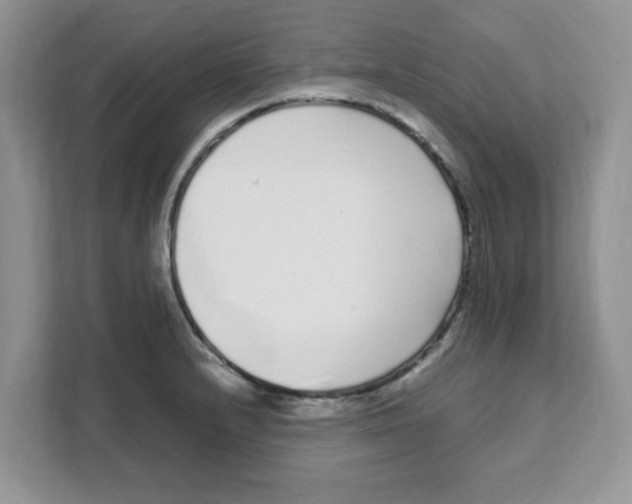 X0000108481232200905011155