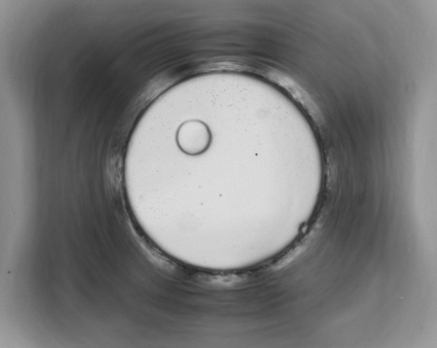 X0000108481233200905011155