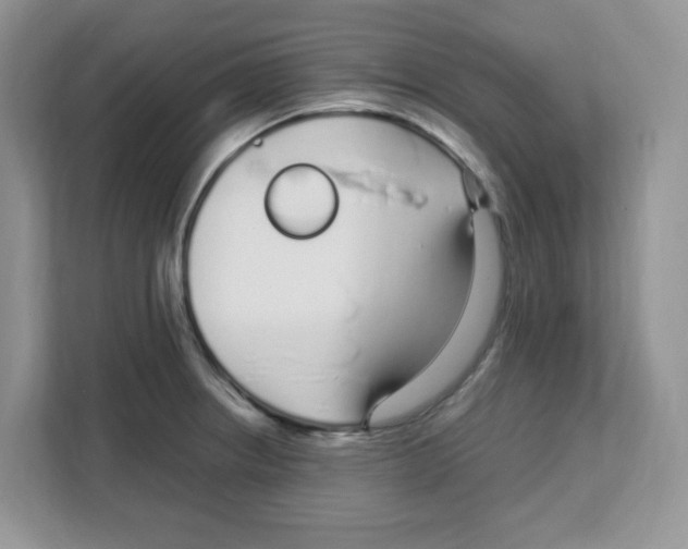 X0000108481234200905011155