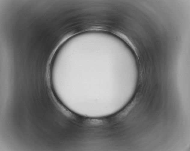 X0000108481235200905011155