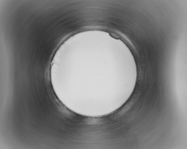 X0000108481236200905011155