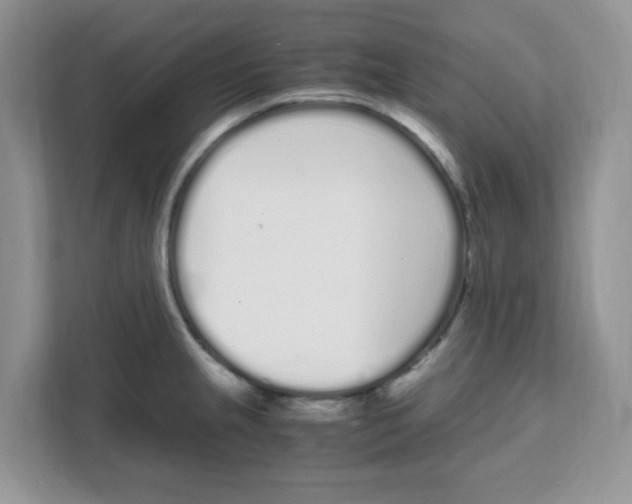 X0000108481237200905011155