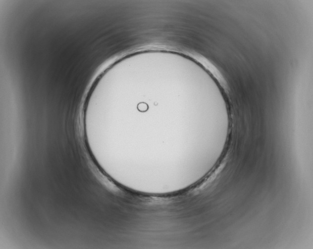 X0000108481238200905011155