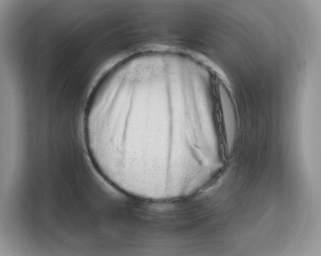 X0000108481239200905011155