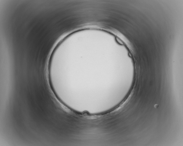 X0000108481240200905011155