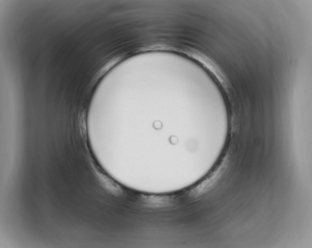 X0000108481241200905011155