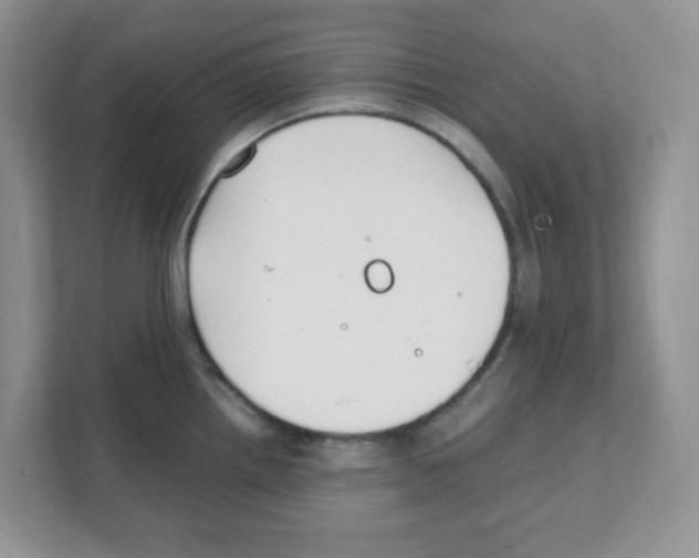 X0000108481242200905011155