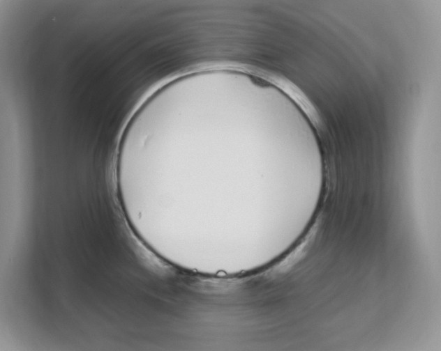 X0000108481244200905011155