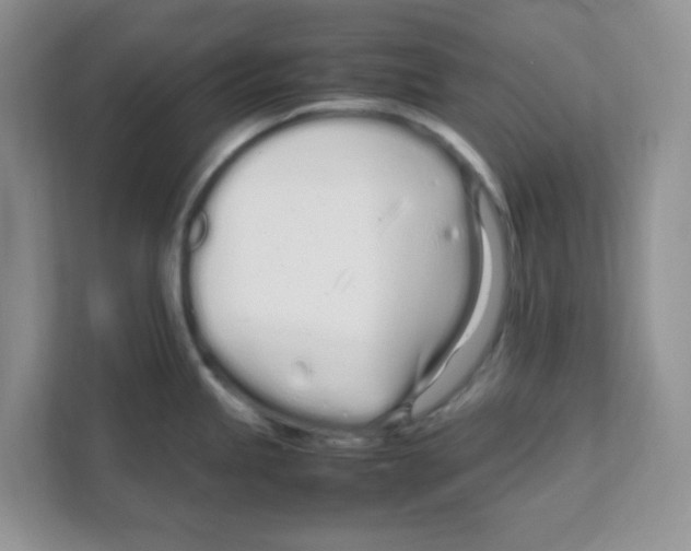 X0000108481245200905011155