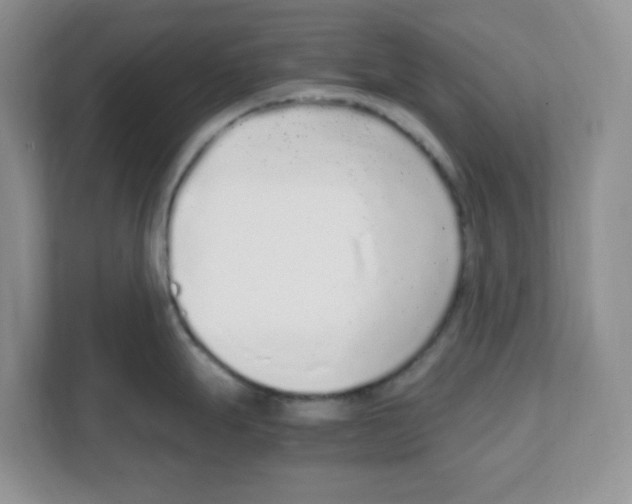 X0000108481247200905011155