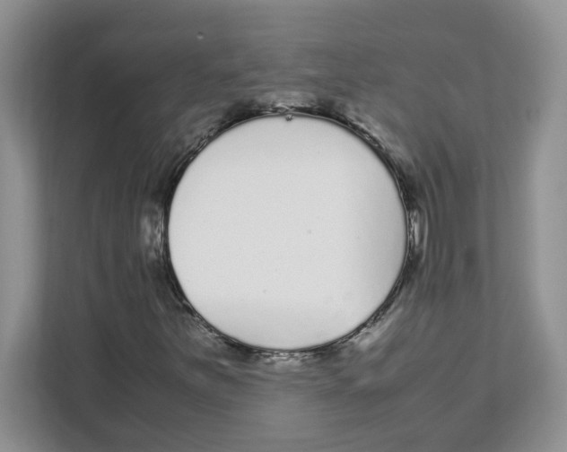 X0000108481251200905011155