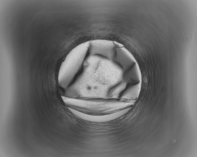 X0000108481252200905011154