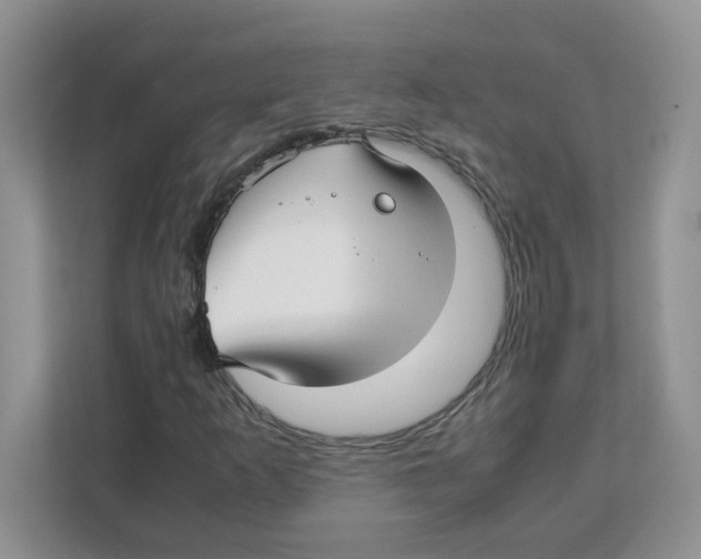 X0000108481253200905011154