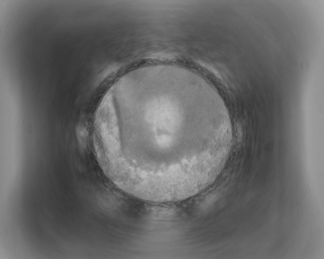 X0000108481254200905011154