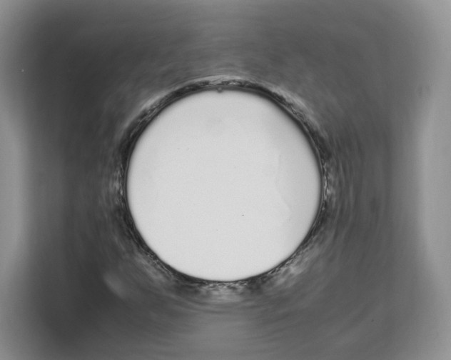 X0000108481255200905011154