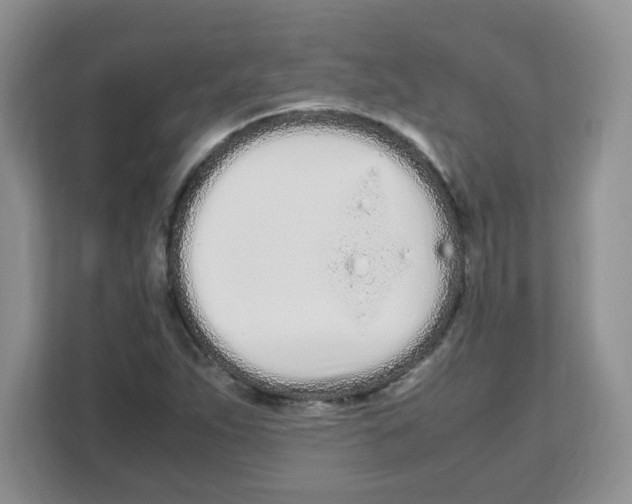 X0000108481263200905011154