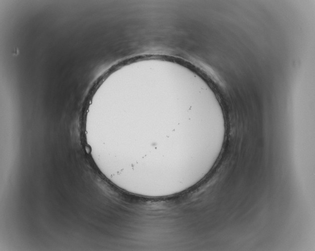X0000108481264200905011154