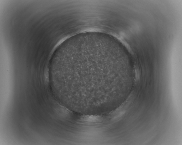 X0000108481266200905011154