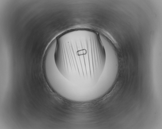 X0000108481268200905011154