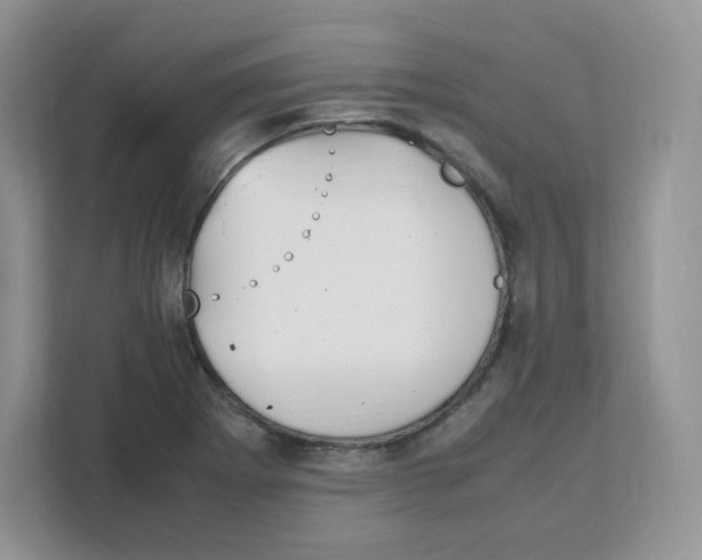 X0000108481273200905011154