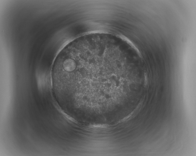 X0000108481274200905011154