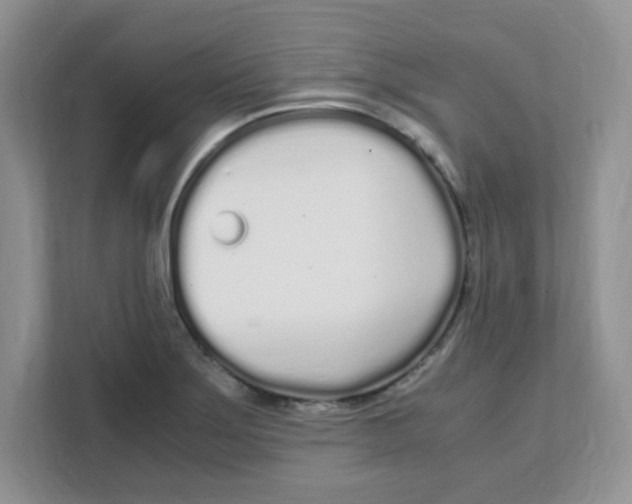 X0000108481275200905011154