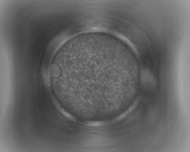 X0000108481278200905011154