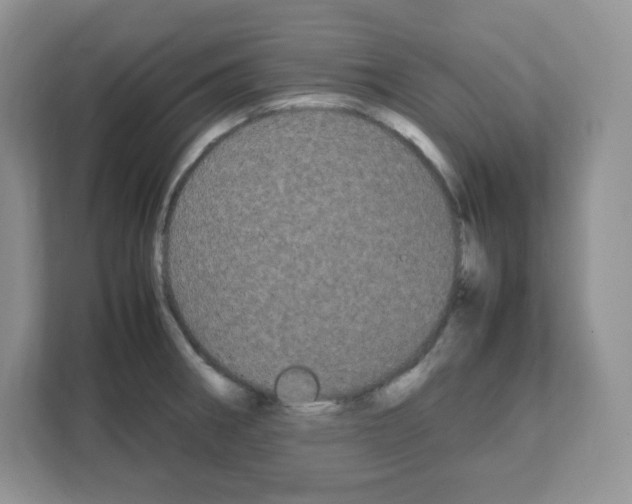 X0000108481282200905011154