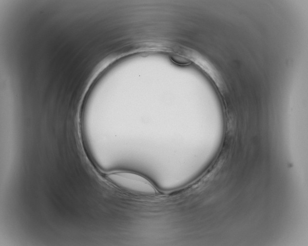 X0000108481283200905011154