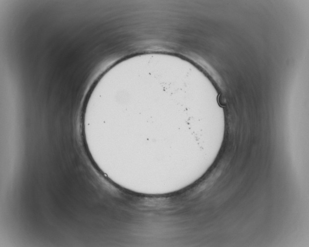 X0000108481285200905011154