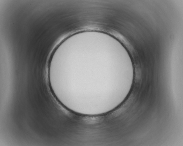 X0000108481286200905011154