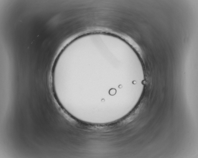 X0000108481287200905011154